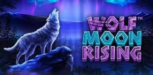 affiche jeu betsoft wolf mnoon rising