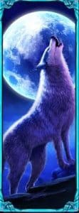 wolf free spins