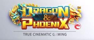Dragon & Phoenix