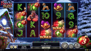symboles à bonus du jeu