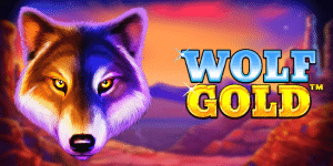 Wolf Gold machine a sous
